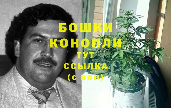 мдпв Саяногорск