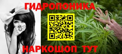 гидропоника Кимры