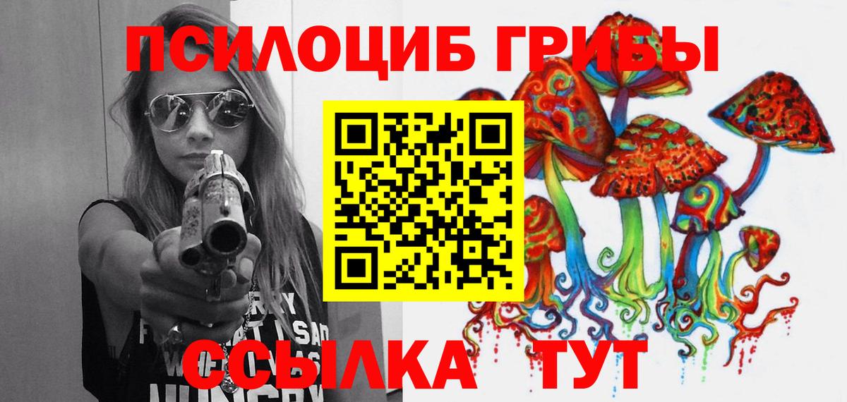 Междуреченск  Псилоцибиновые грибы ЛСД  Псилоцибиновые грибы ЛСД  Вход с VPN 